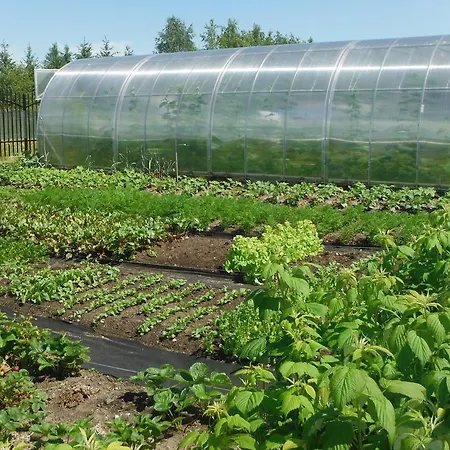 Dąbrowa 3* Dąbrówno