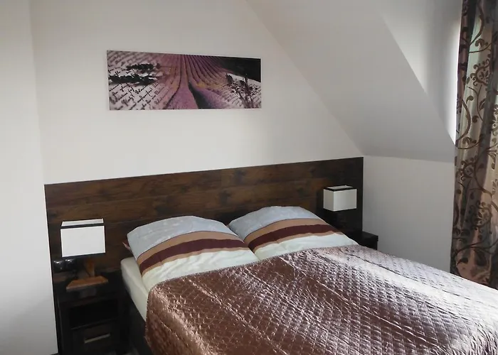 Guest house Dabrowa 3*